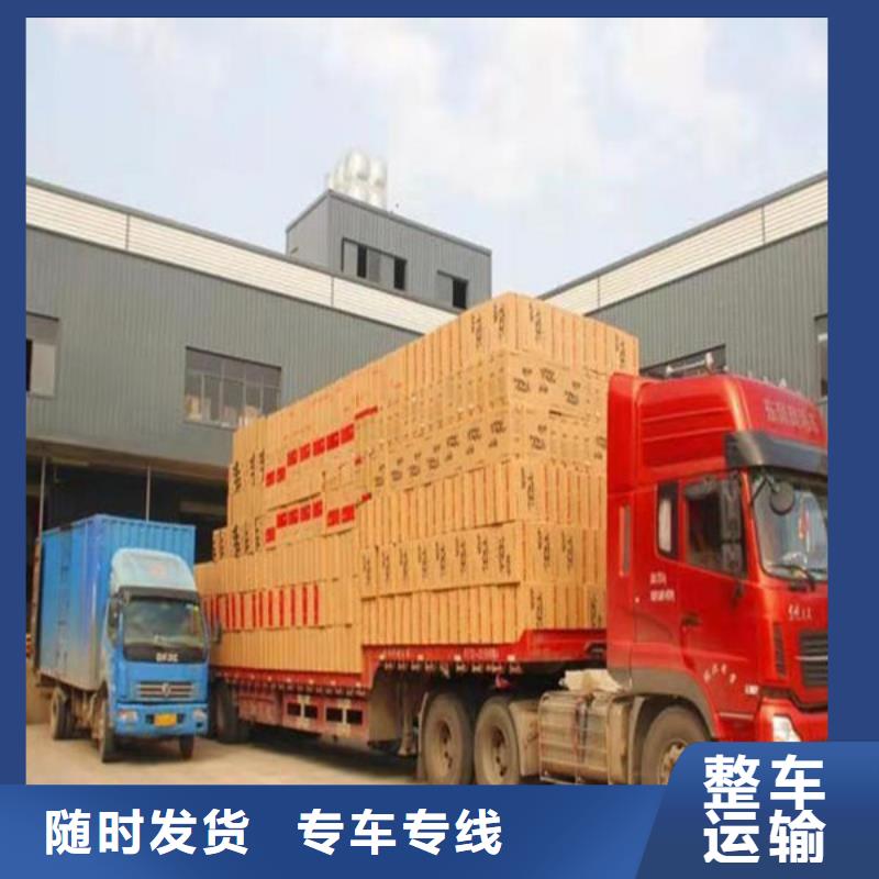 河源到道外物流专线货运公司