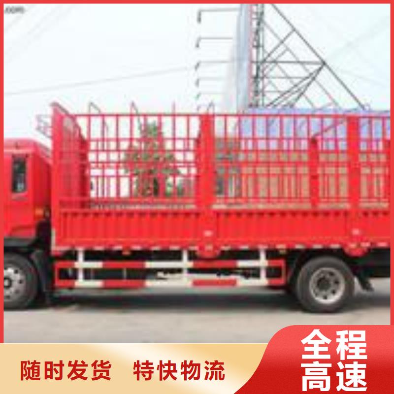 大城到息县物流专线货运公司