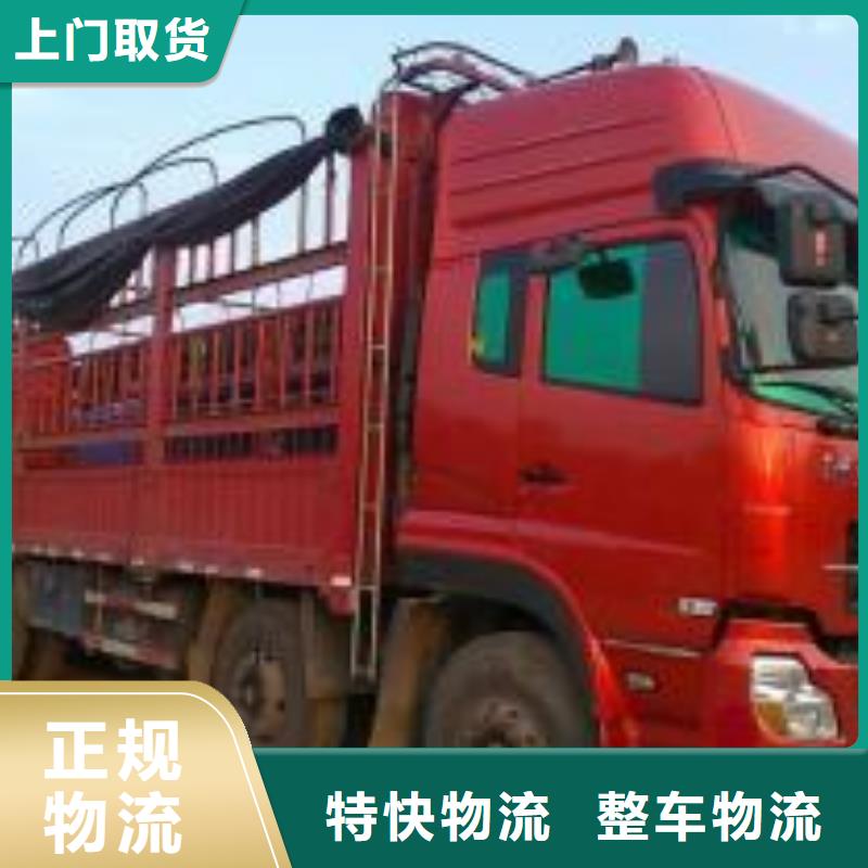 广州到克东物流专线货运公司