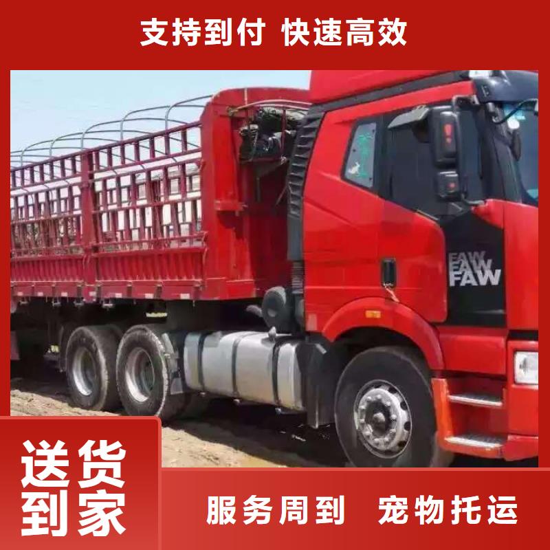 浦东新到乐业物流专线货运公司