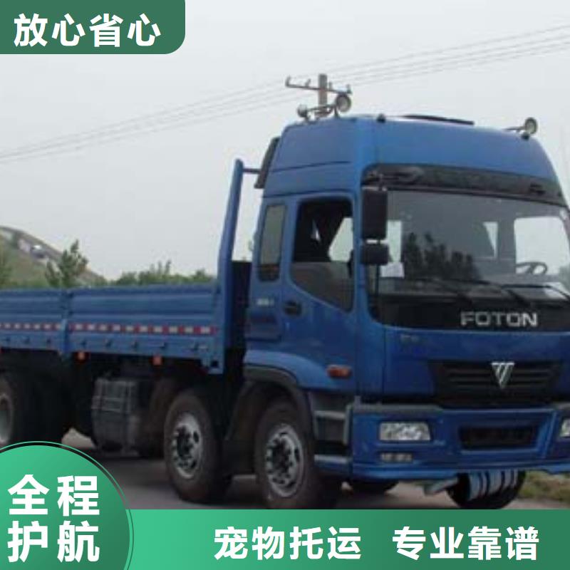 忻府到通城物流专线货运公司
