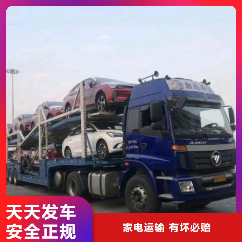 日照到六枝特物流专线货运公司